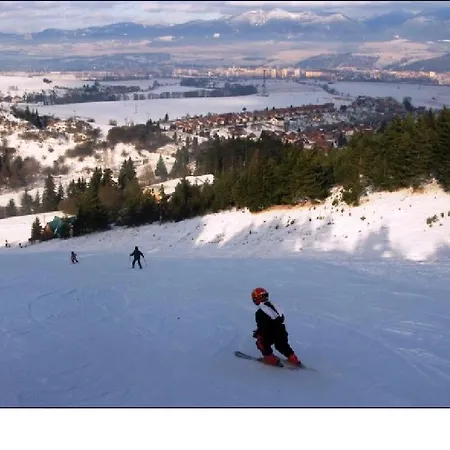 Pemikas Ii Lipótszentmiklós